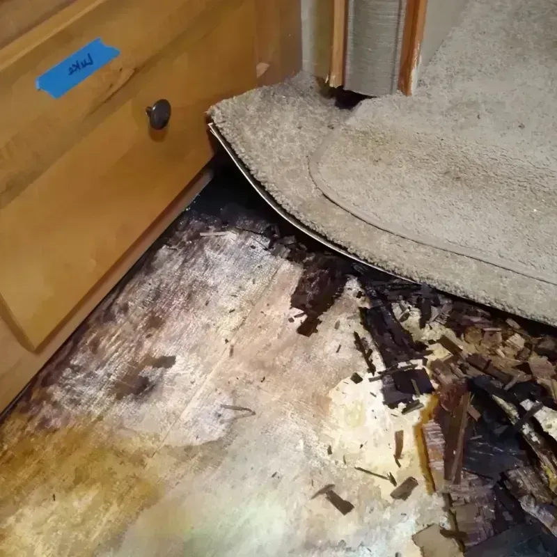 Wood Floor Water Damage in Eagle Lake, MN